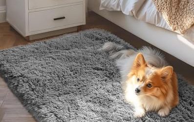 8 Best Small Area Rugs for Accent Spaces