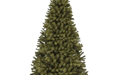 5 Best Choice Christmas Trees (October 2026)