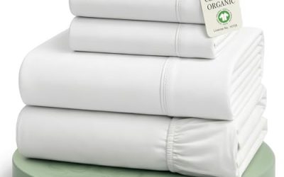 7 Best Cotton Sheets (October 2026)
