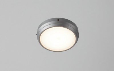 Best Dusk to Dawn Outdoor Lights for Every Yard