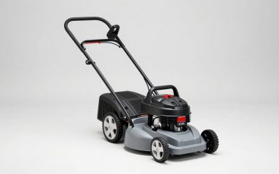 Best Electric Lawn Dethatchers and Scarifiers
