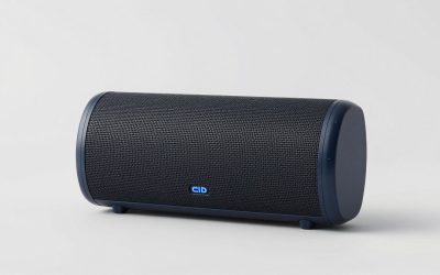 Best Floating Waterproof Bluetooth Speakers