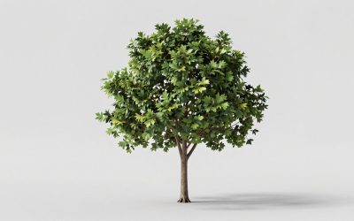 Best Hall Trees with Storage Bench and Hooks in 2026: Compared and Ranked