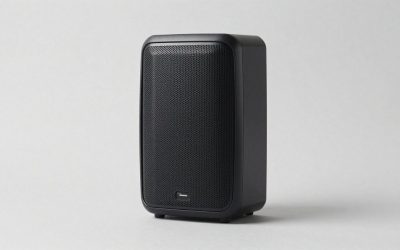 Best Karaoke Speakers for Home Singing