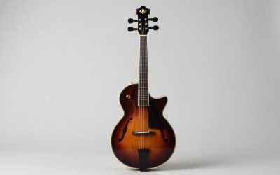 Best Mandolins for Beginners and Home Cooks