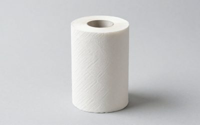 Best Paper Towels: 10 Packs Compared by Sheet Size, Roll Count and Everyday Use