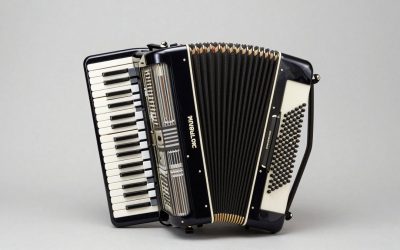 Best Piano Accordions for Beginners and Players