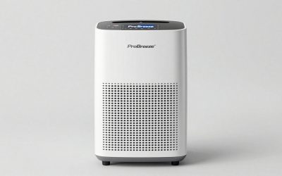 Best Pro Breeze Dehumidifier: Which of the 4 Models Fits Your Room?