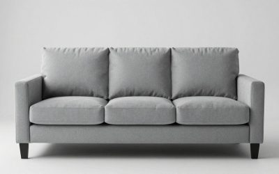 Best Sofas for Pet Owners: Durable and Easy to Clean