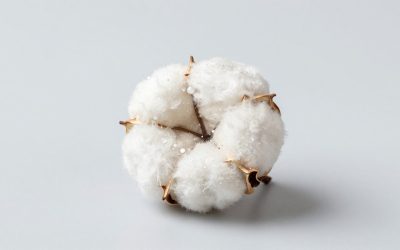 Cotton vs Bamboo Bath Mats for Fast Drying Absorption: Which Is Right for Your Home (2026)