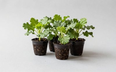 Grow a Garden Codes: How to Redeem Them