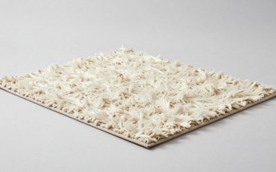 How to Clean Pet Urine From Wool Area Rug (2026): Step-by-Step