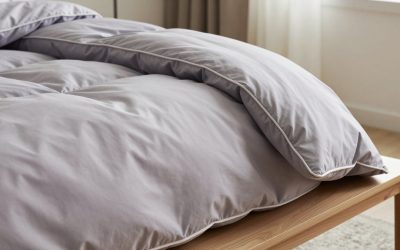 Queen Comforter Sets: Bed-in-a-Bag Picks by Fill, Size and Season