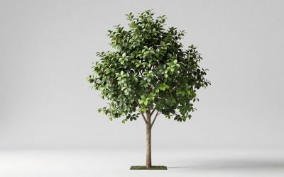 VASAGLE 5-in-1 Hall Tree vs CSZZD Hall Tree: Which Should You Buy?